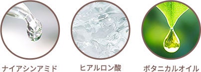 成分