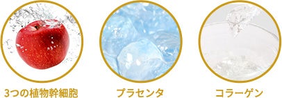 成分