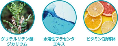 成分