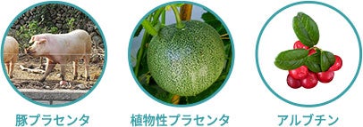 成分