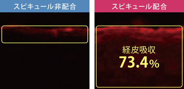 経皮吸収73.4％