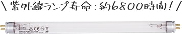 紫外線ランプ