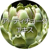 アーティチョークエキス