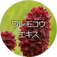 ワレモコウエキス