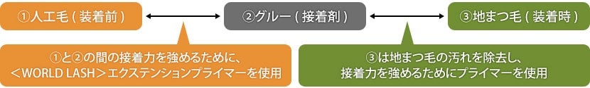 地まつ毛用プライマーとの違い