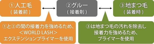 地まつ毛用プライマーとの違い