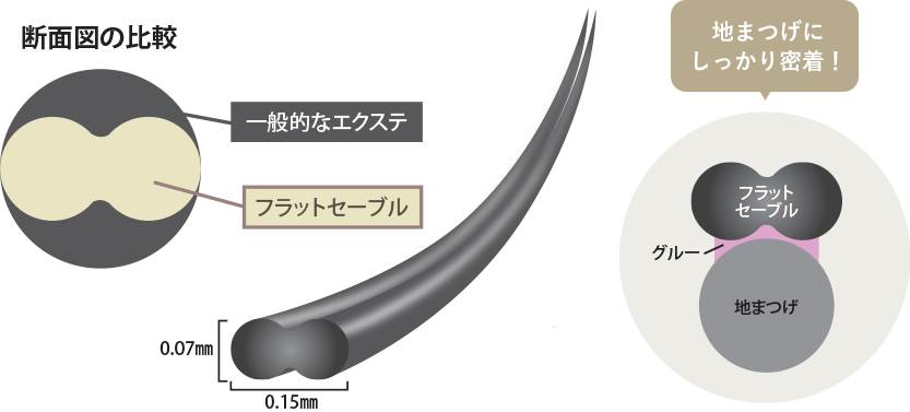フラットセーブル断面