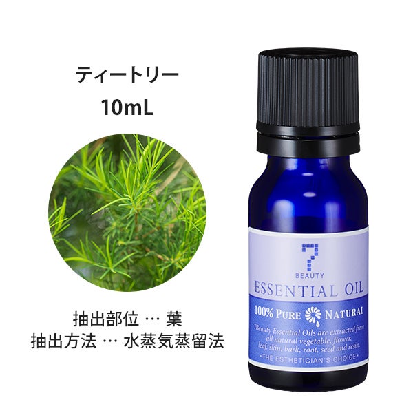 [SEVEN BEAUTY] エッセンシャルオイル (樹木系) ティー トリー 10mL