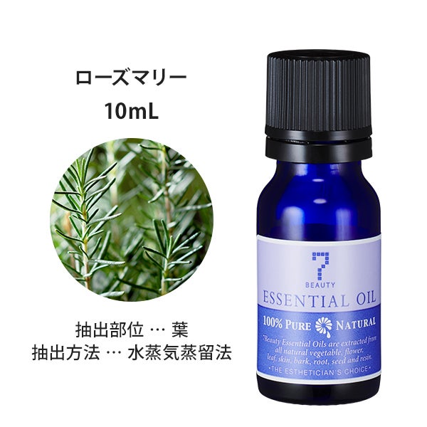 [SEVEN BEAUTY] エッセンシャルオイル (ハーブ系) ローズマリー 10mL