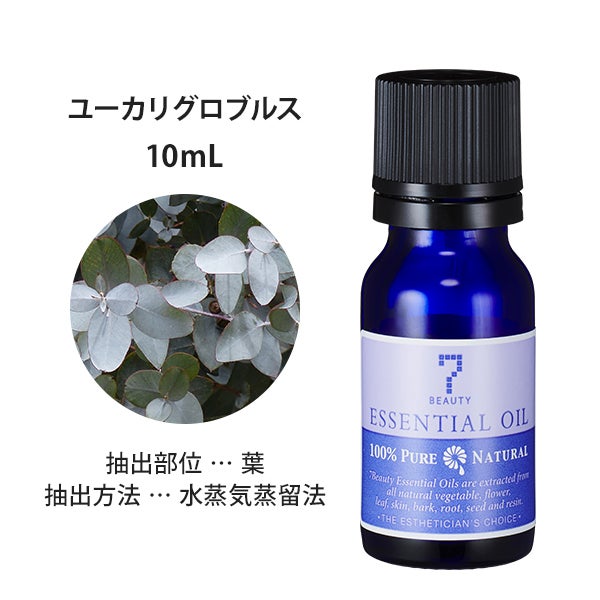[SEVEN BEAUTY] エッセンシャルオイル (樹木系) ユーカリグロブルス 10mL
