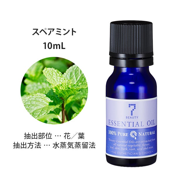 [SEVEN BEAUTY] エッセンシャルオイル (ハーブ系) スペアミント 10mL