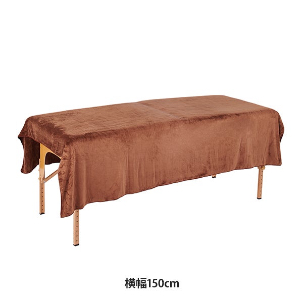 エコマイクロファイバー タオル シーツ (3520匁) 150cm×205cm モカ