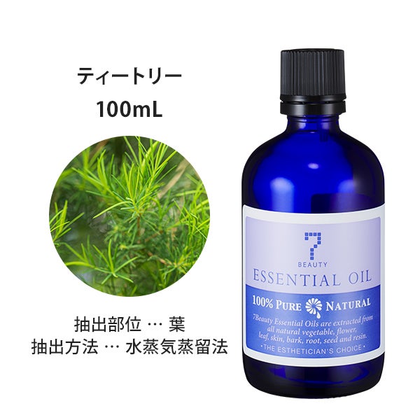 [SEVEN BEAUTY] エッセンシャルオイル (樹木系) ティー トリー 100mL