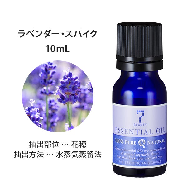 [SEVEN BEAUTY] エッセンシャルオイル (フローラル系) ラベンダー ・ スパイク 10mL
