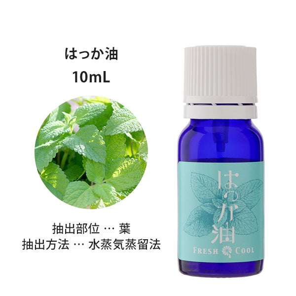 [SEVEN BEAUTY] エッセンシャルオイル (ハーブ系) はっか油 10mL
