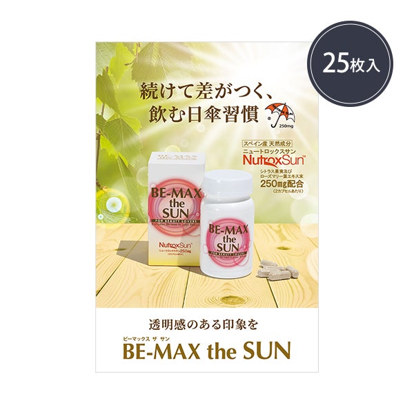 【WEB限定】[BE-MAX] the SUN パンフレット25枚入り